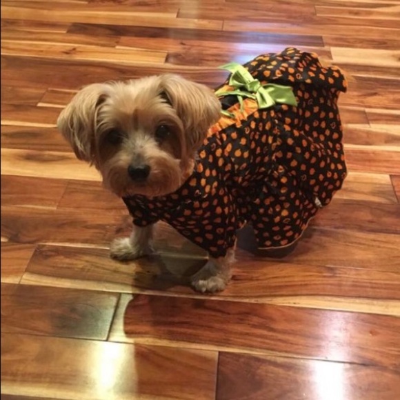 Hello! Welcome to my closet 💜 - Picture 10 of 15